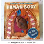 Young Explorers Human Body - PreHugged Children’s Book