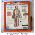 Uncover The Human Body By Luann Colombo - PreHugged Children’s Book