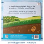 A Twinkl Original Little Acorns - PreHugged Children’s Book