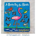 A Busy Day For Birds - PreHugged Children's Book
