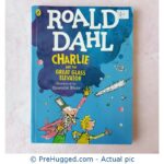 Roald Dahl Charlie And The Great Glass Elevator - Coloured Illustration - PreHugged Children's Book