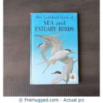 Ladybird Book of Sea and Estuary Birds - PreHugged Children's Book