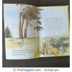 Winnie the Pooh Meets Kanga and Baby Roo - PreHugged Children's Book