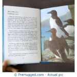 Ladybird Book of Sea and Estuary Birds - PreHugged Children's Book