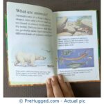 Ladybird Learners series : Animals - PreHugged Children's Book