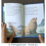 Seals and their friends - PreHugged Children's Book