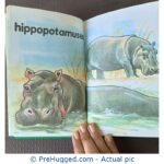 First Picture Book: Animals - PreHugged Children's Book