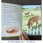 Ladybird Little Chick - PreHugged Children's Book