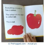 My First Learning Books : Colors - PreHugged Children's Book
