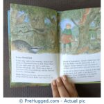Ladybird Robin Hood - PreHugged Children's Book