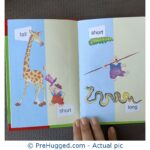 Sorting and Opposites - PreHugged Children's Book