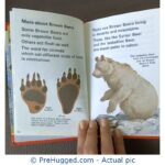 Bears and Pandas - PreHugged Children's Book