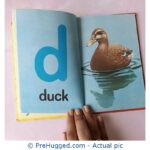 ABC Ladybird - PreHugged Children's Book