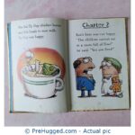 Super Fly Guy Tedd Arnold - PreHugged Children's Book