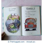 Fly Nigh Fly Guy Tedd Arnold - PreHugged Children's Book