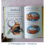 Fly Guy Vs The Flyswatter! Tedd Arnold - PreHugged Children's Book
