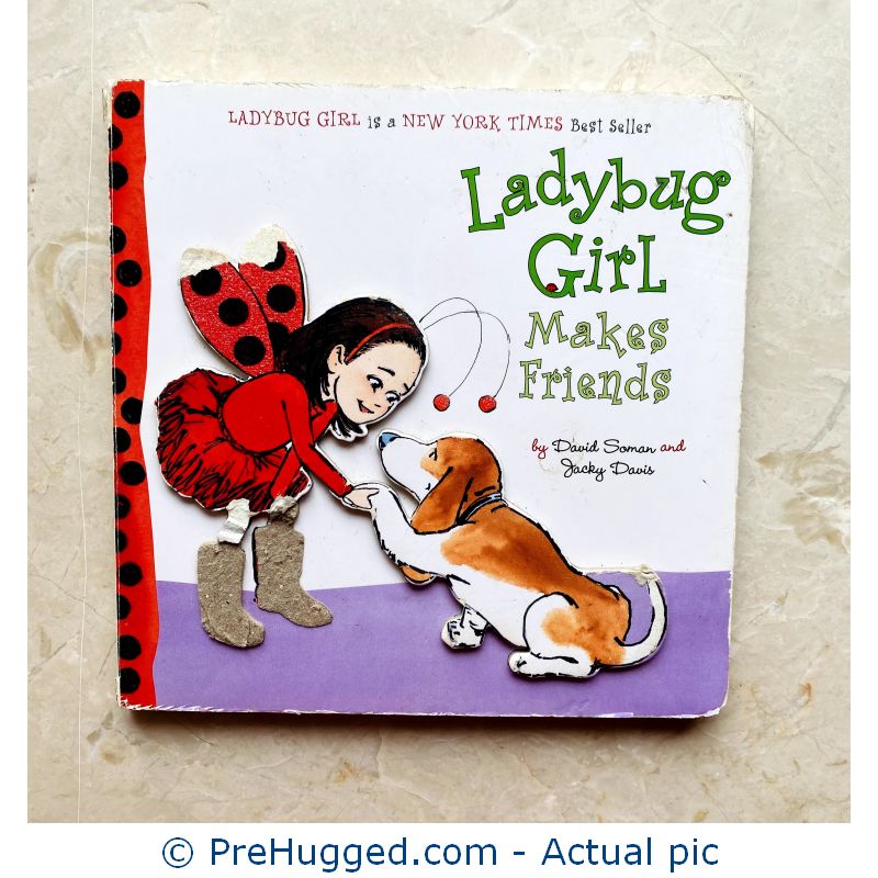Ladybug Girl Makes Friends Board book