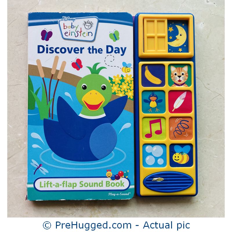 Baby Einstein Discover the Day: Lift-A-Flap Sound Book