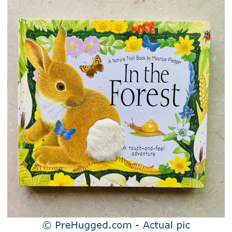 In the Forest (Nature Trail Books) Hardcover