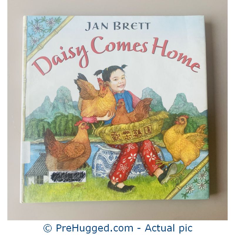 Daisy Comes Home by JAN BRETT