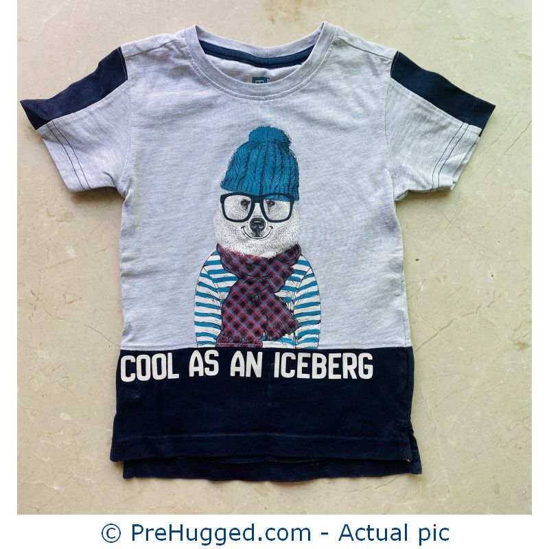 2-3 years Cool Iceberg T-shirt