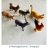 Domestic Animal World - 6 Figurines