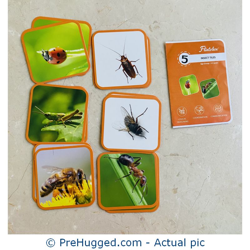 Flinto – Insect Tiles