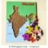 India Map Peg Puzzle