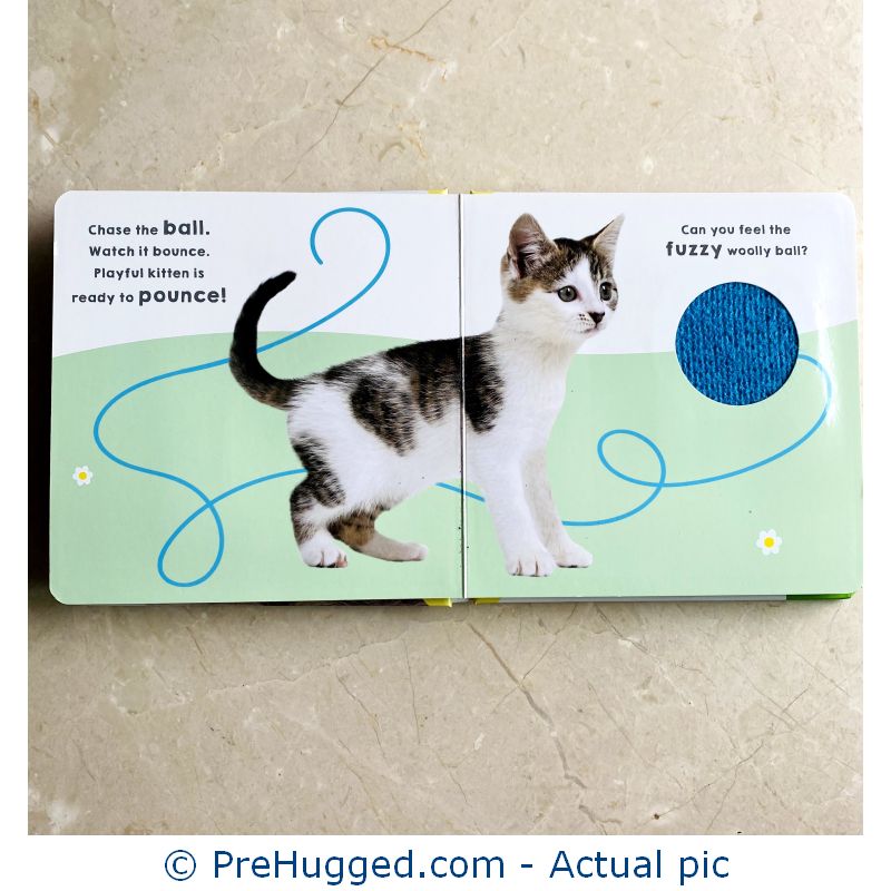 Kitten Touch and Feel Board book 2