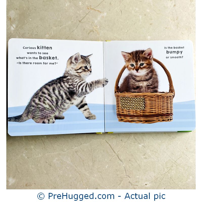 Kitten Touch and Feel Board book 3