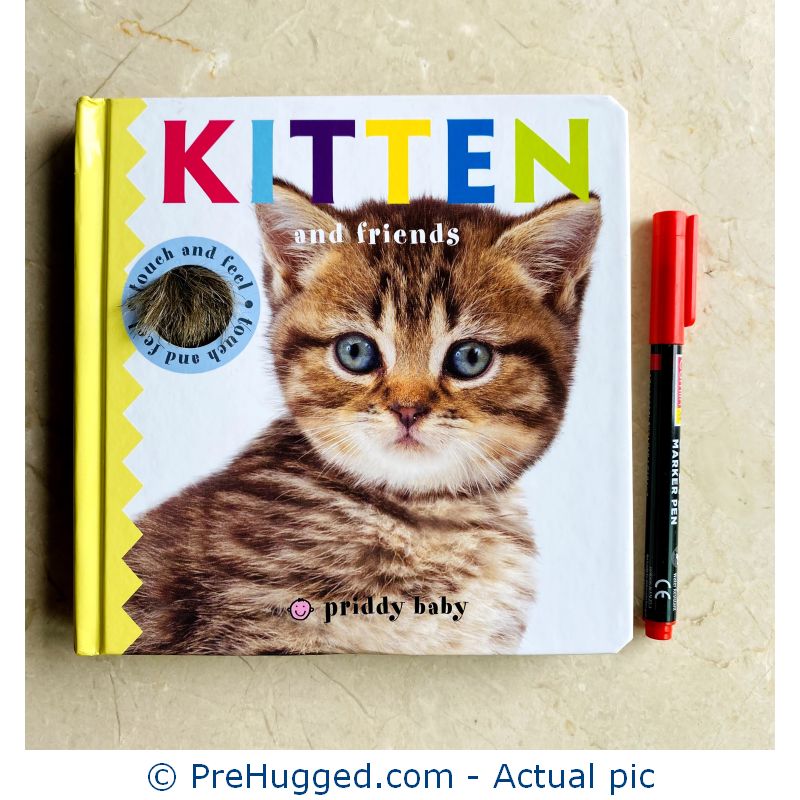 Kitten Touch and Feel Board book 6