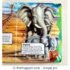 Mammals at Your Fingertips Tab Book