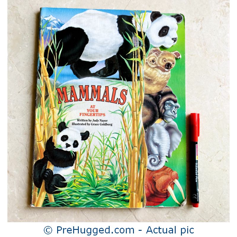 Mammals at Your Fingertips Tab Book 5