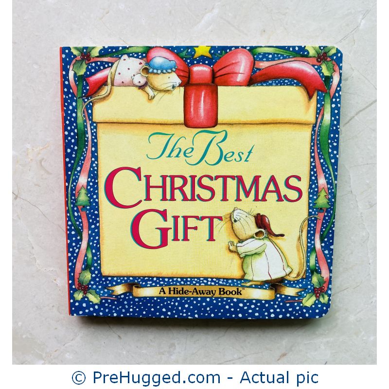 The Best Christmas Gift (Hide-Away Books) – New Board book