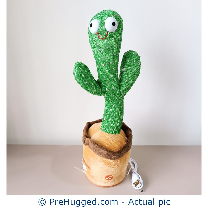 Buy preloved Dancing Cactus - PreHugged.com