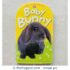 Baby Touch and Feel Baby Bunny Board book