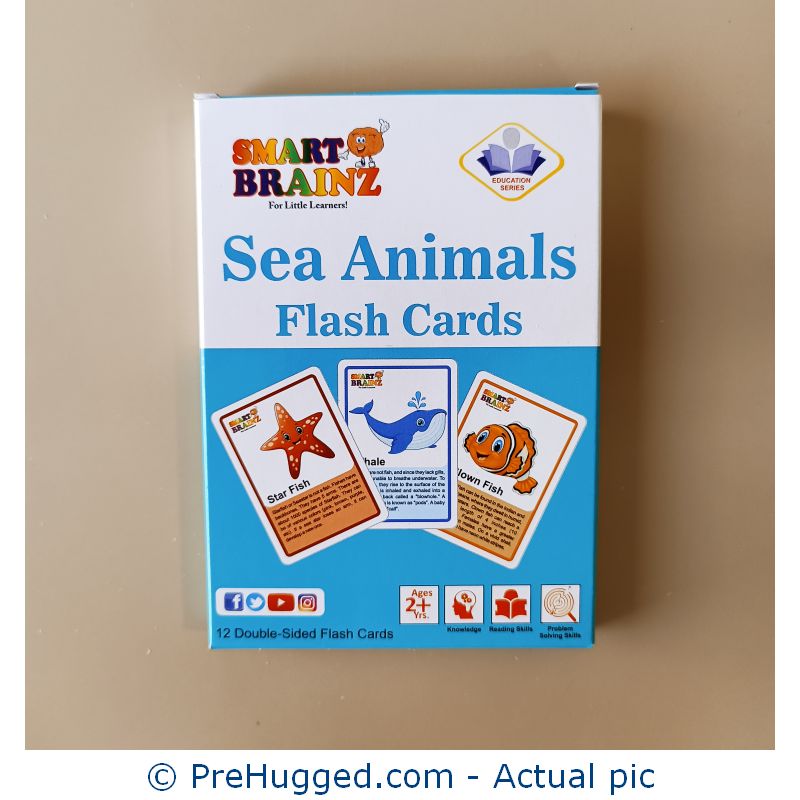 Sea-Animals-Flash-Cards-2